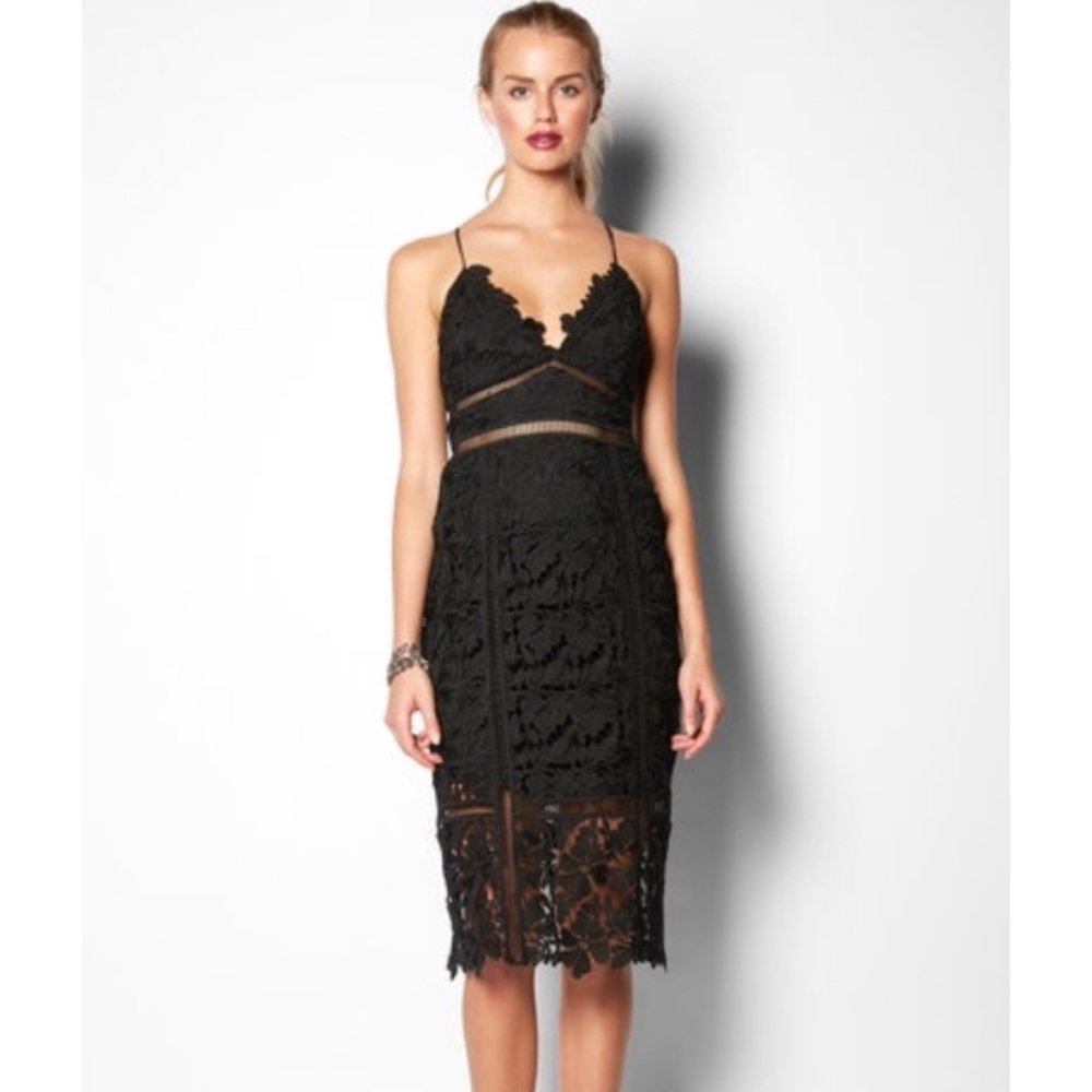 *SALE* BNWT Bardot Botanical Lace Dress sz Small